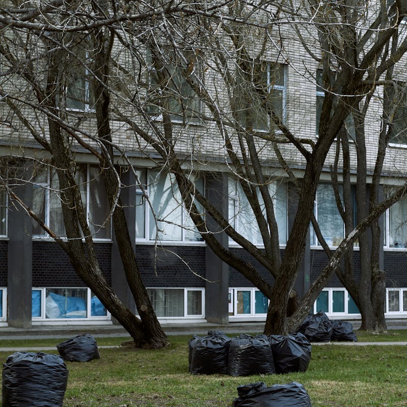 pexels-photo-17548775